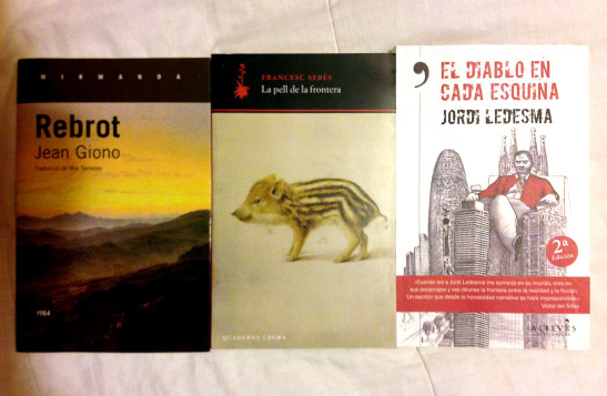 llibres-rebrot-pell-diablo