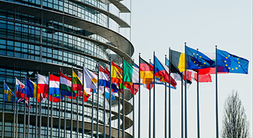 La DGA ha presentado en Estrasburgo un informe sobre la situación de las lenguas minoritarias de Aragón. Foto: Web Parlamento Europeo