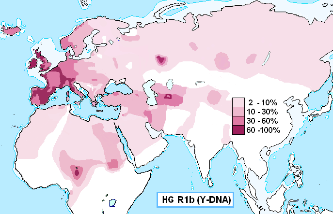 Haplogroup_R1b_(Y-DNA)