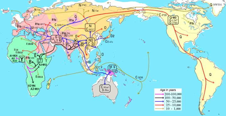 Migraciones_humanas_en_haplogrupos_de_ADN-Y