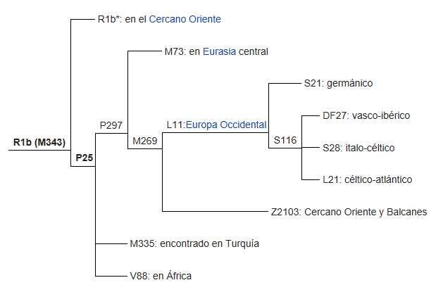Subclados_R1b