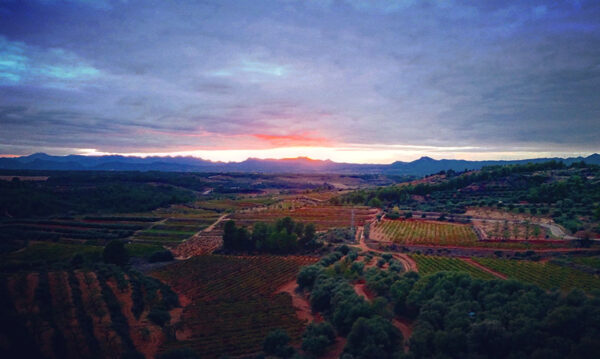 Priorat mig matarranyenc