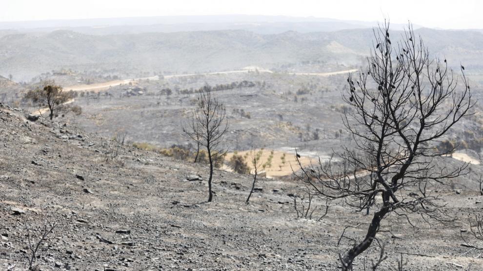 El incendio de Nonaspe ha calcinado ya más de 1.700 hectáreas.